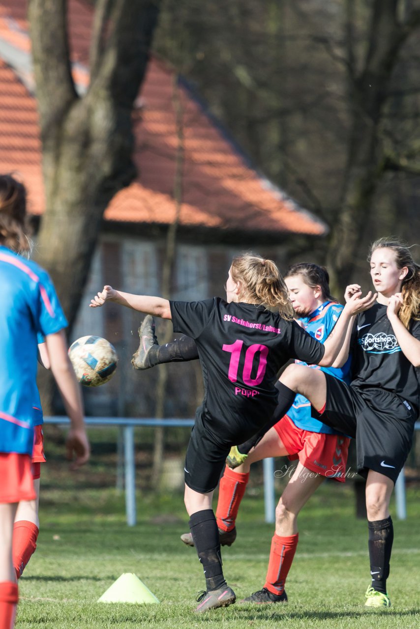 Bild 281 - C-Juniorinnen SV Steinhorst/Labenz - TSV Friedrichsberg-Busdorf : Ergebnis: 5:0